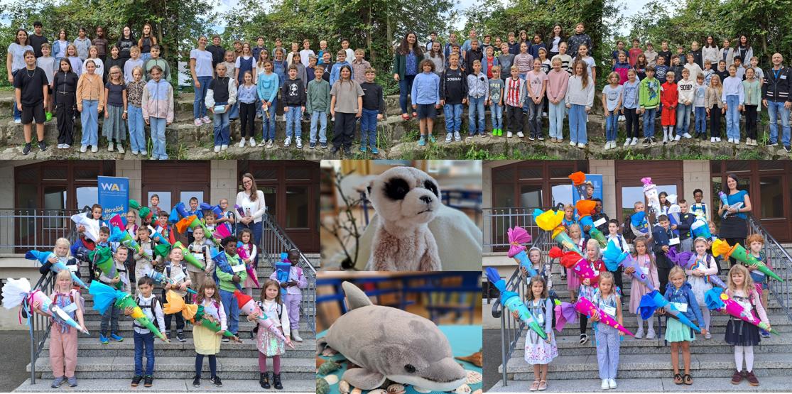 K1600 SJ Beginn Collage 25.26